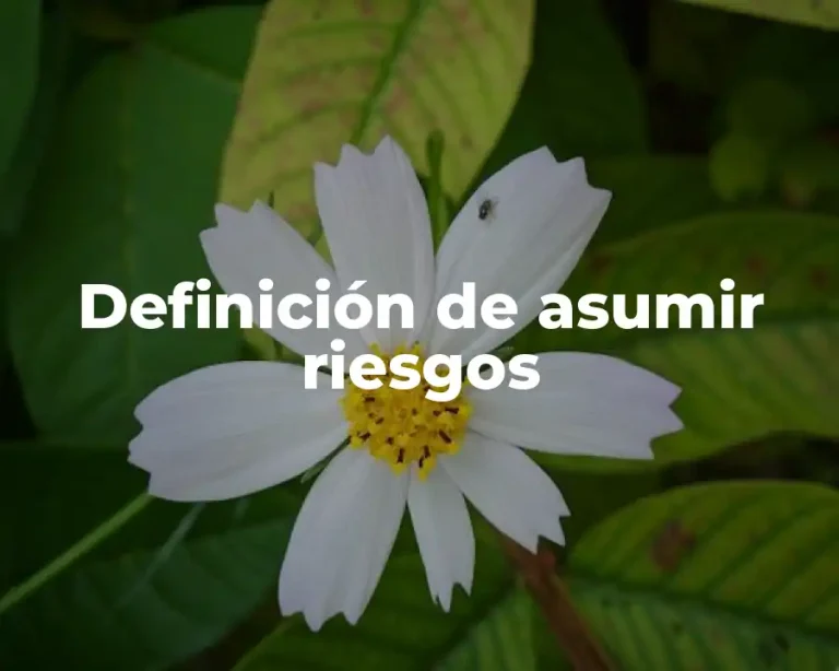 Definición de asumir riesgos