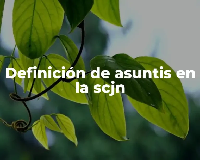 Definición de asuntis en la scjn