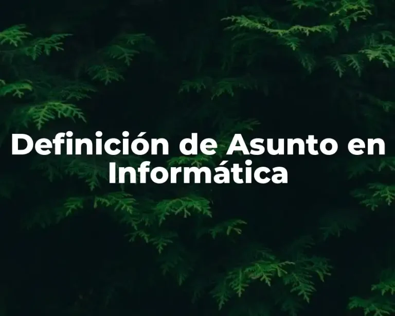 Definición de Asunto en Informática