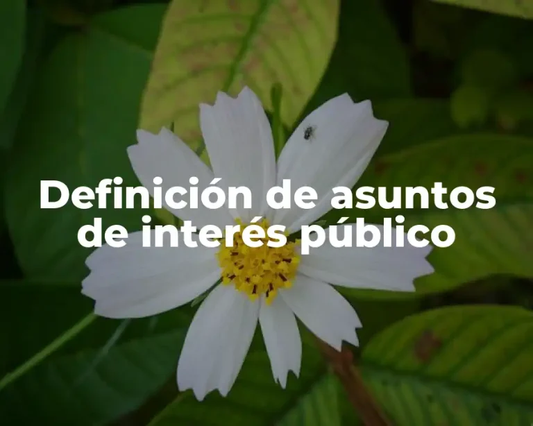 Definición de asuntos de interés público