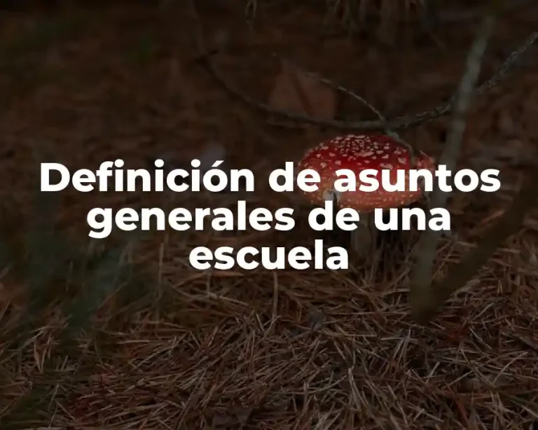 Definición de asuntos generales de una escuela