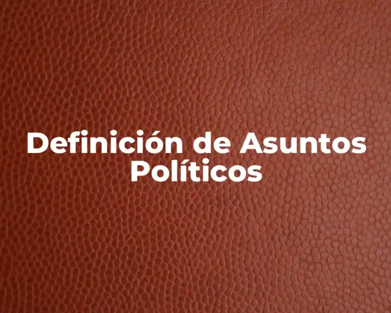 Definición de Asuntos Políticos