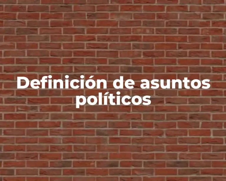 Definición de asuntos políticos
