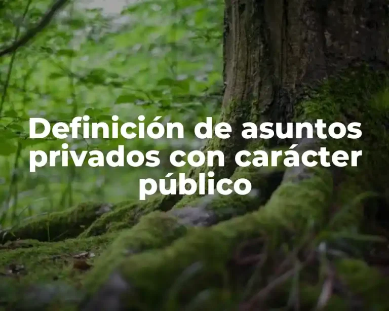 Definición de asuntos privados con carácter público