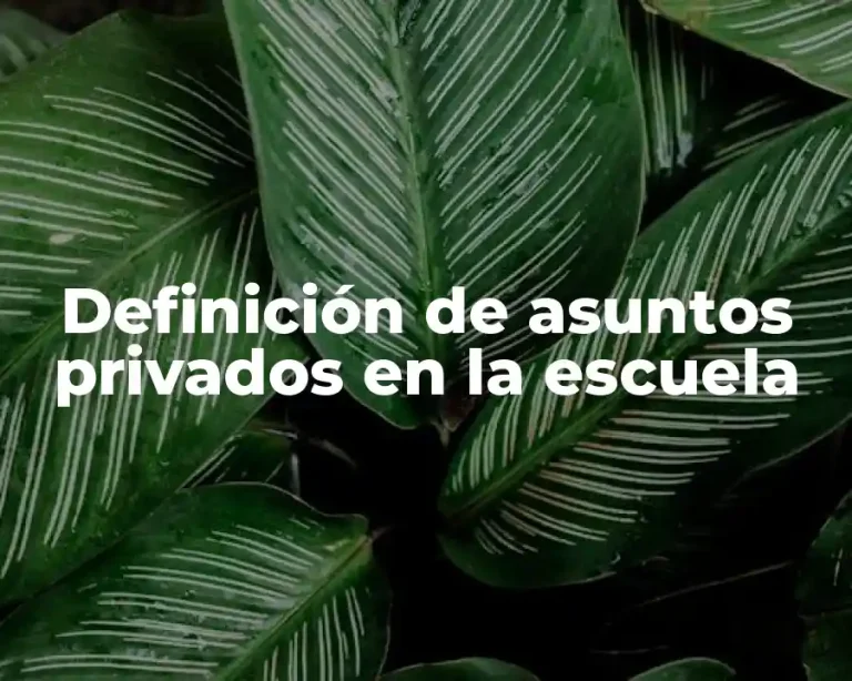 Definición de asuntos privados en la escuela