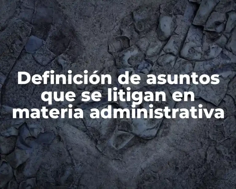 Definición de asuntos que se litigan en materia administrativa