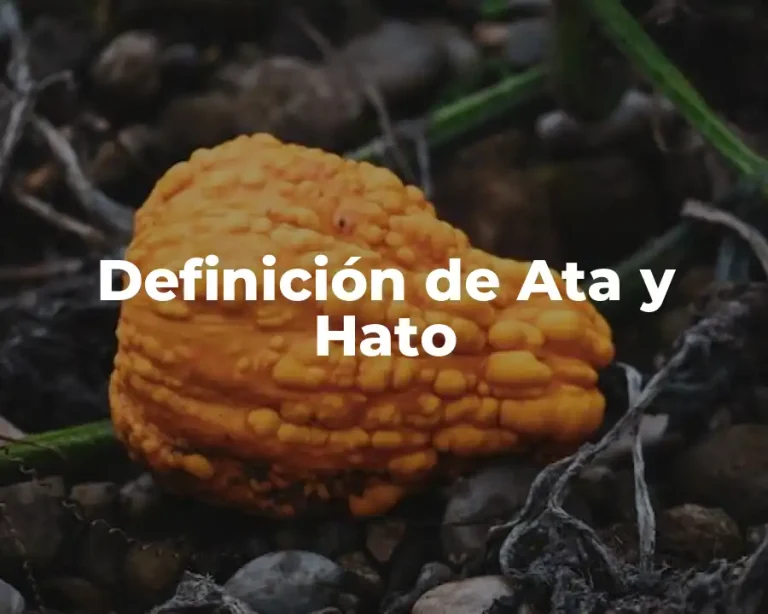 Definición de Ata y Hato