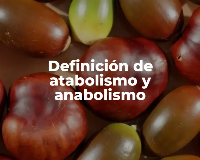 Definición de atabolismo y anabolismo