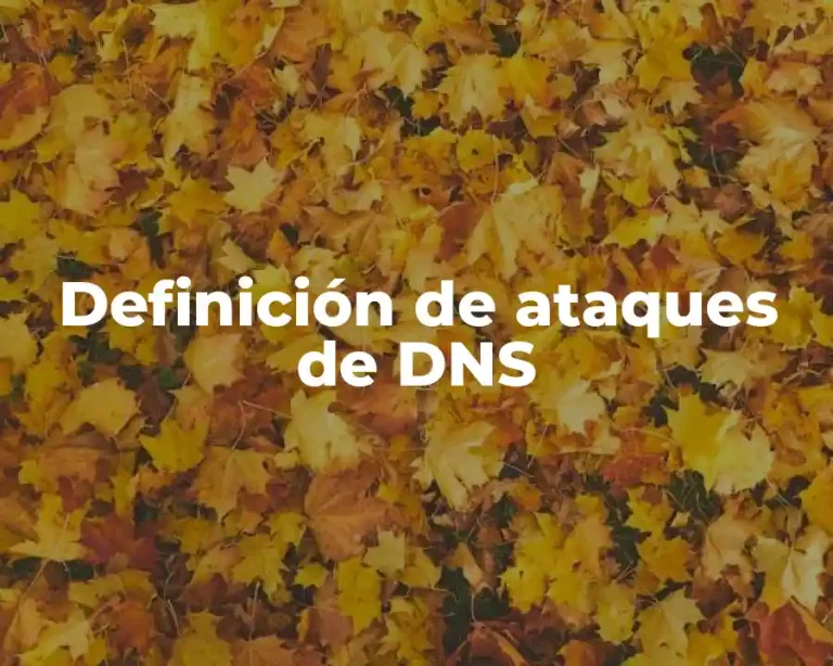 Definición de ataques de DNS