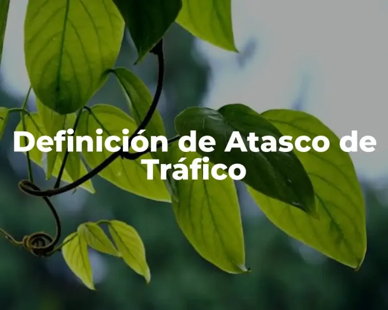 Definición de Atasco de Tráfico