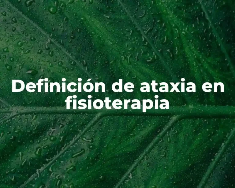 Definición de ataxia en fisioterapia