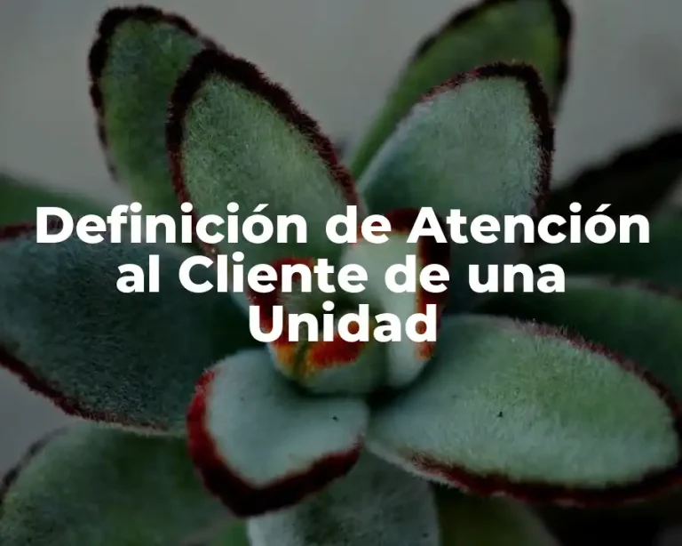 Definición de Atención al Cliente de una Unidad
