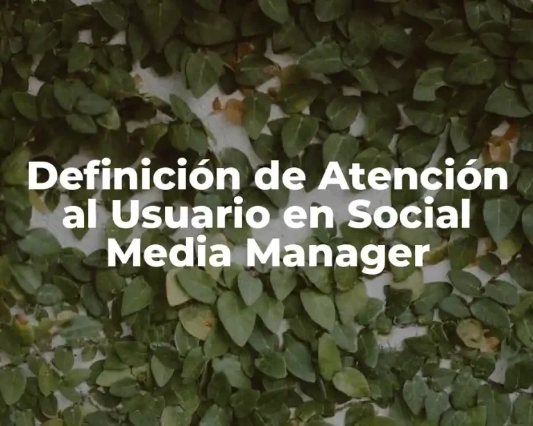 Definición de Atención al Usuario en Social Media Manager