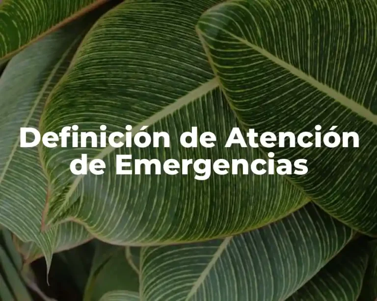 Definición de Atención de Emergencias