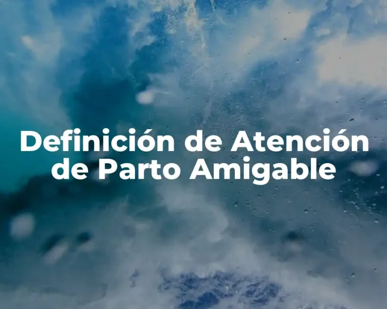 Definición de Atención de Parto Amigable