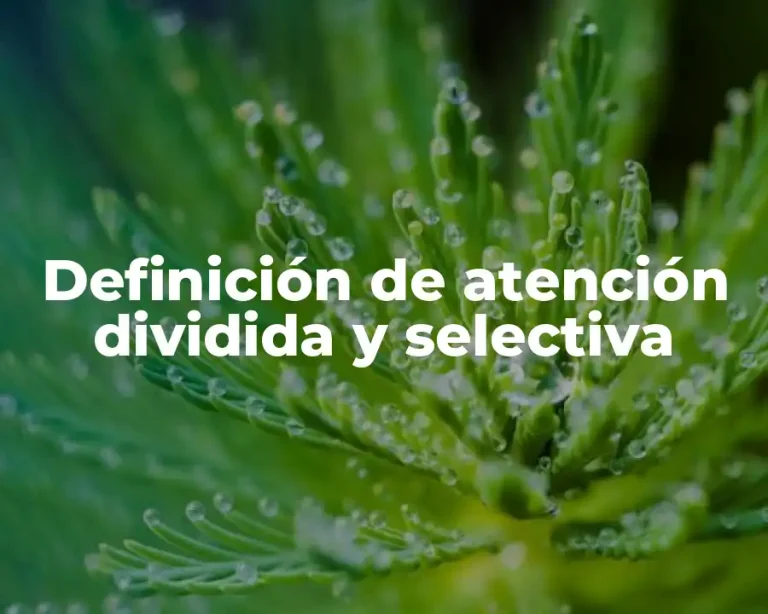 Definición de atención dividida y selectiva