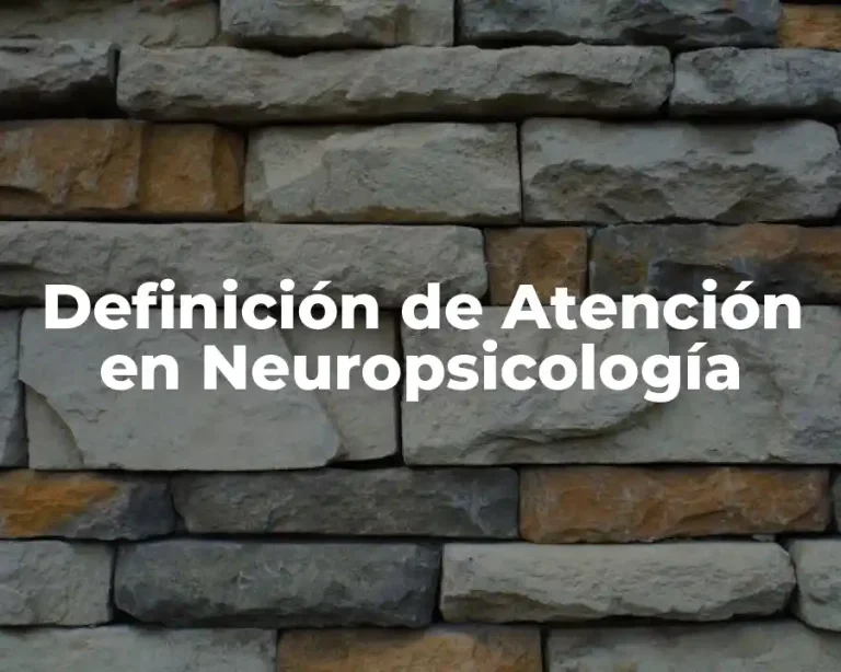 Definición de Atención en Neuropsicología