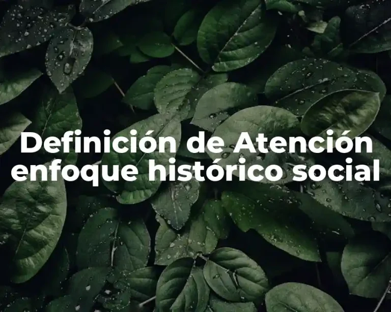 Definición de Atención enfoque histórico social