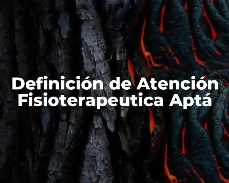Definición de Atención Fisioterapeutica Aptá