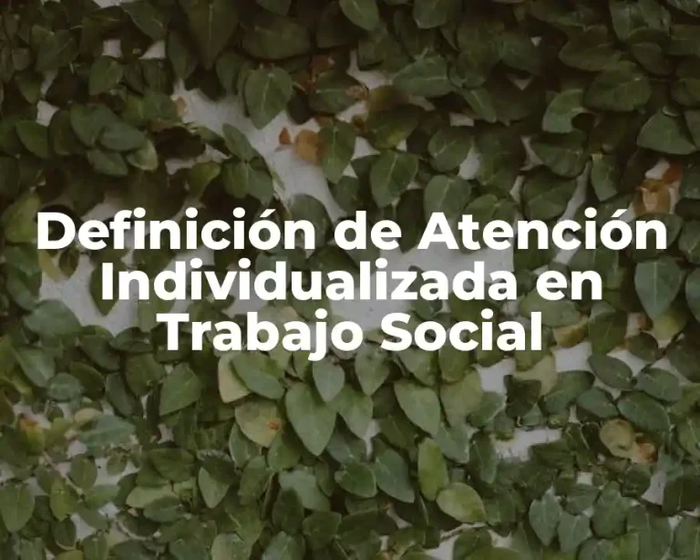 Definición de Atención Individualizada en Trabajo Social