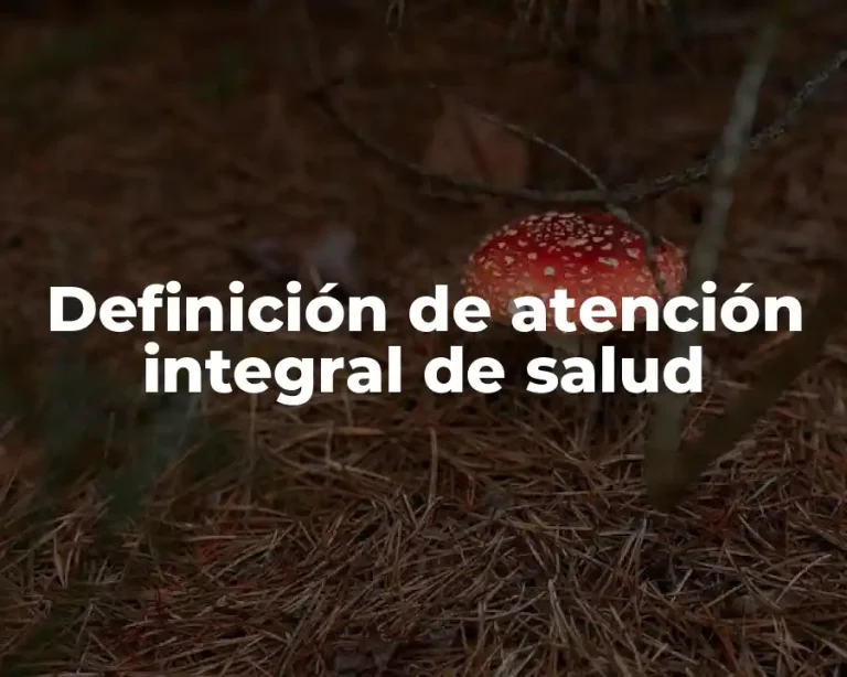 Definición de atención integral de salud