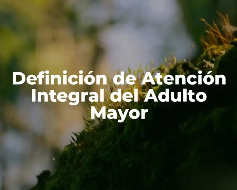 Definición de Atención Integral del Adulto Mayor