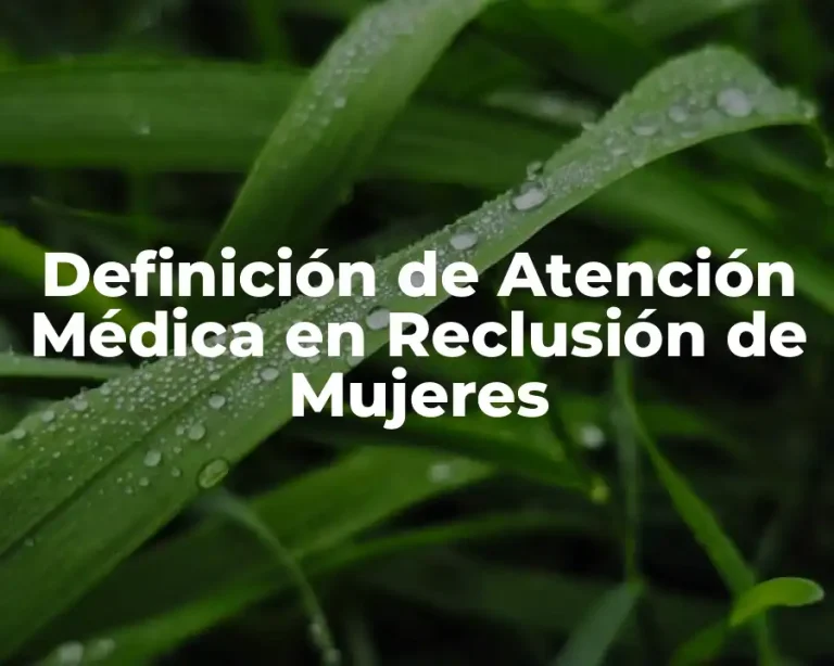Definición de Atención Médica en Reclusión de Mujeres