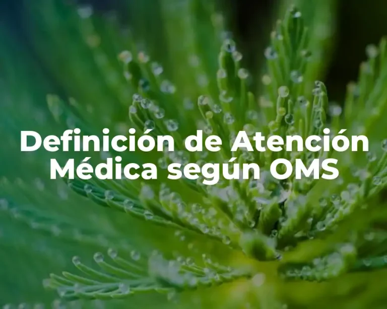 Definición de Atención Médica según OMS