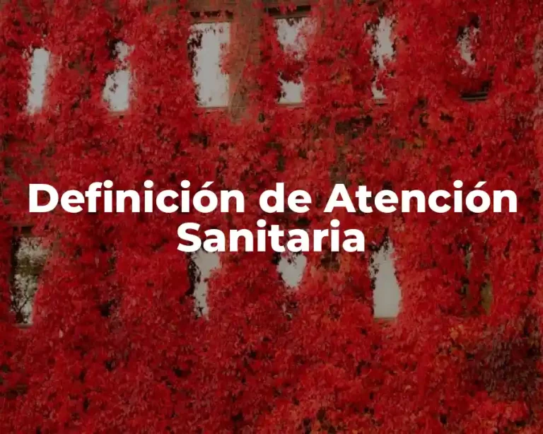 Definición de Atención Sanitaria