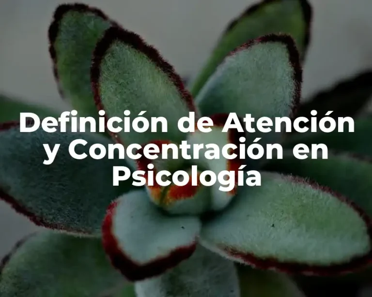 Definición de Atención y Concentración en Psicología