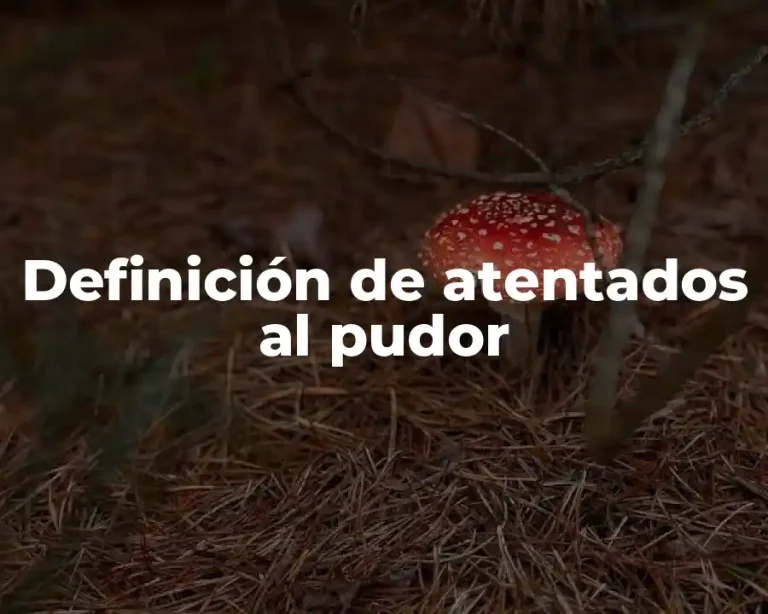 Definición de atentados al pudor