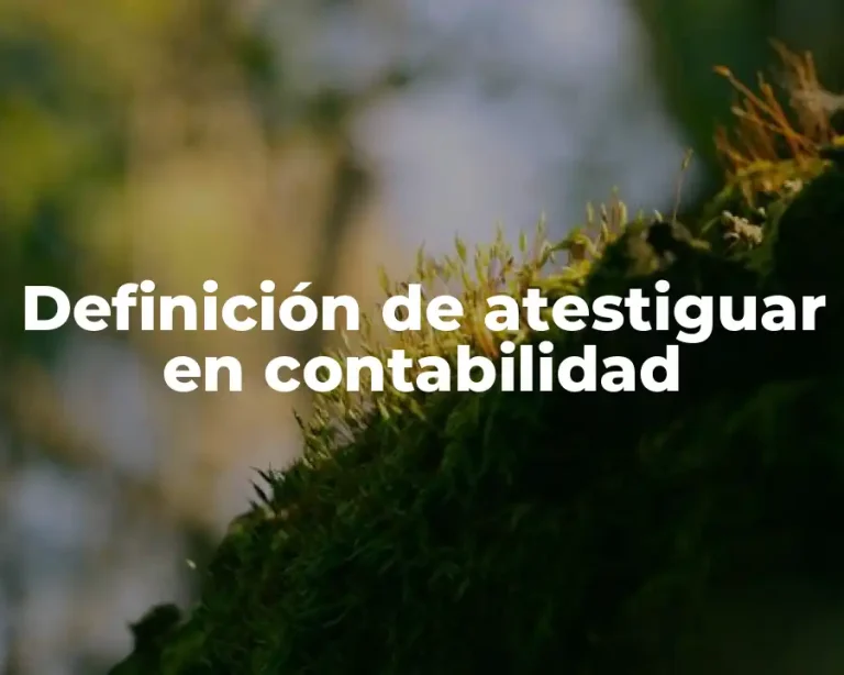Definición de atestiguar en contabilidad