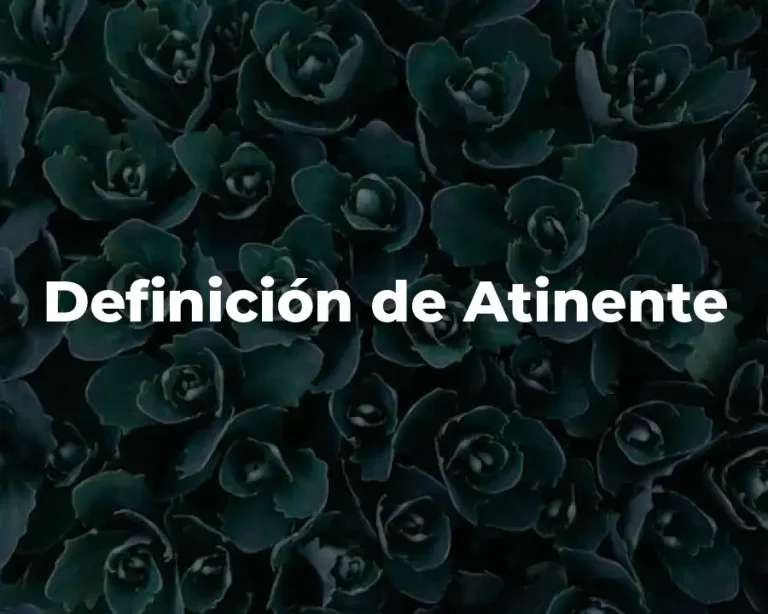 Definición de Atinente