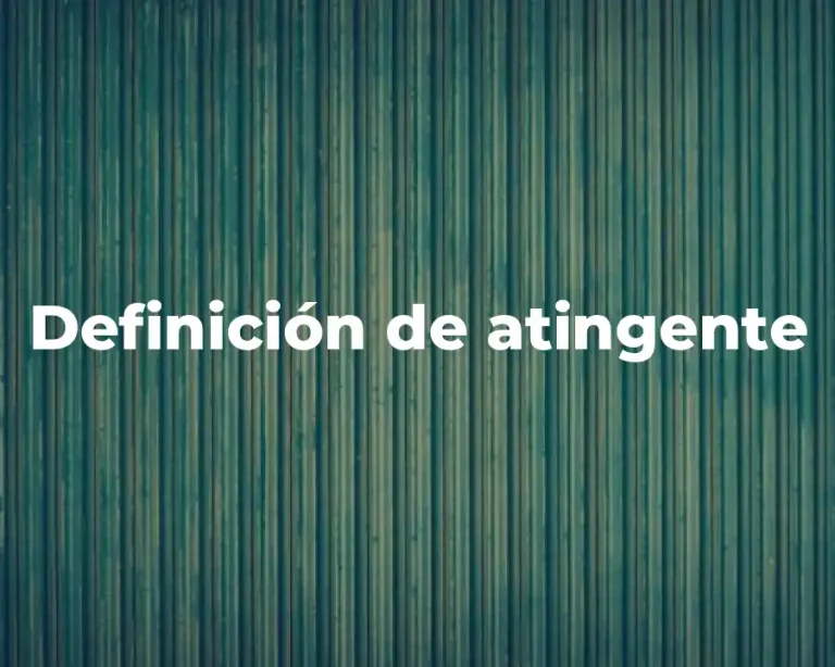 Definición de atingente