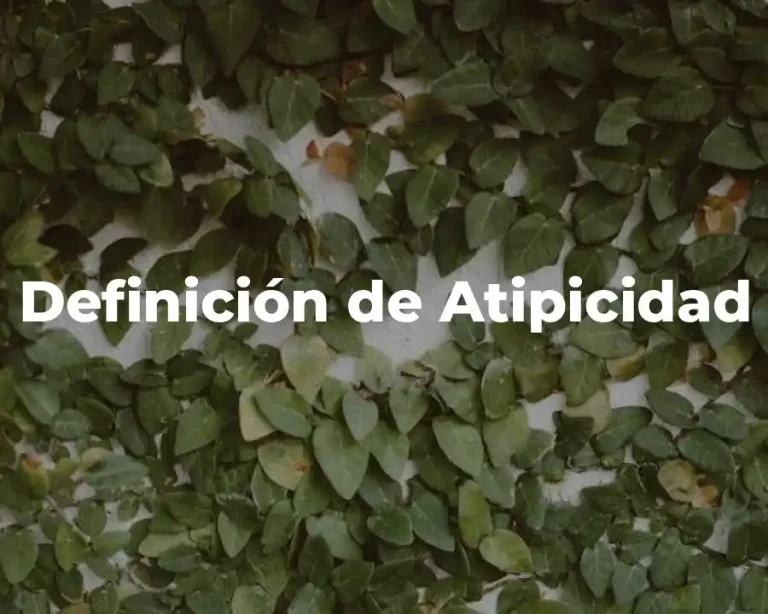 Definición de Atipicidad