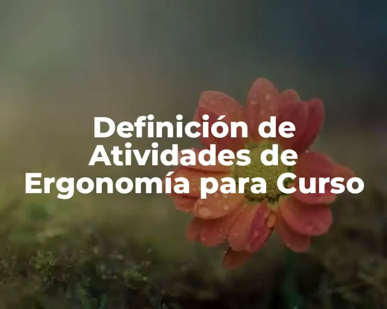 Definición de Atividades de Ergonomía para Curso