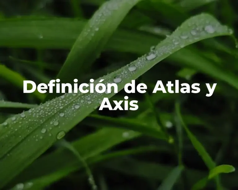 Definición de Atlas y Axis
