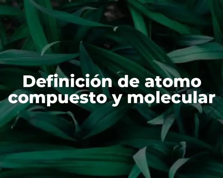 Definición de atomo compuesto y molecular