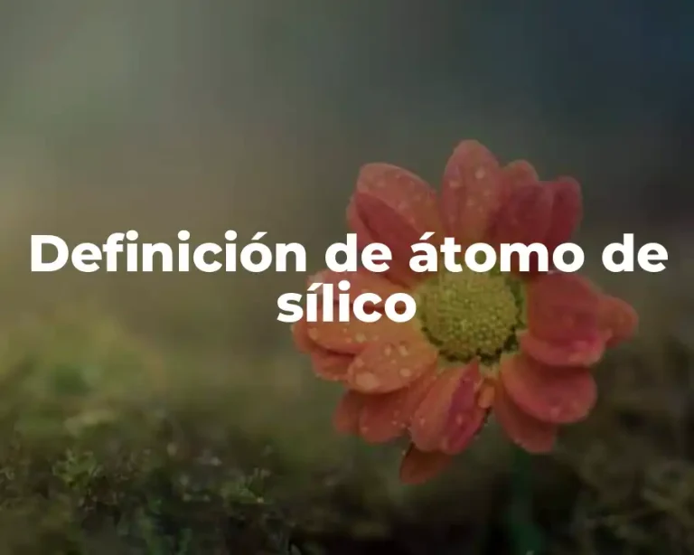 Definición de átomo de sílico