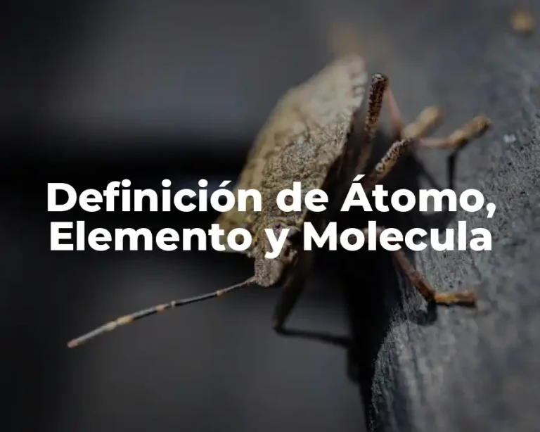 Definición de Átomo, Elemento y Molecula