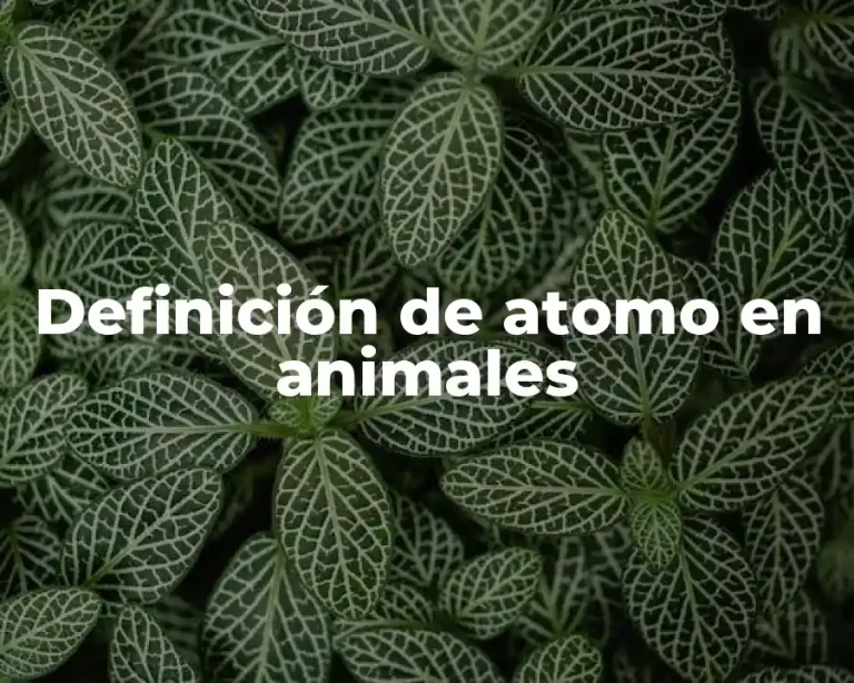 Definición de atomo en animales