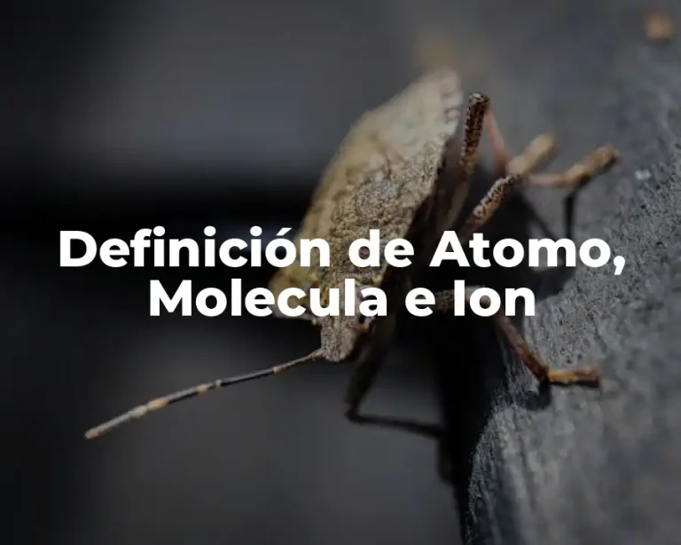 Definición de Atomo, Molecula e Ion
