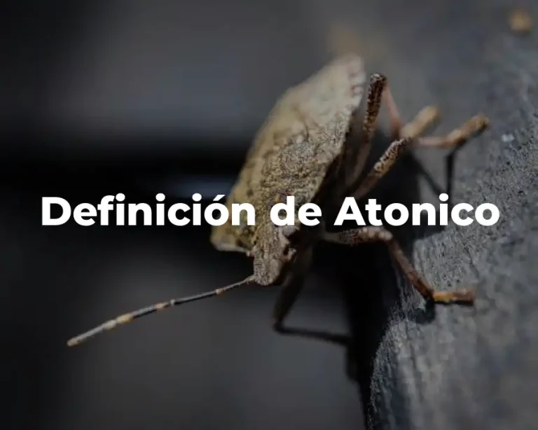 Definición de Atonico