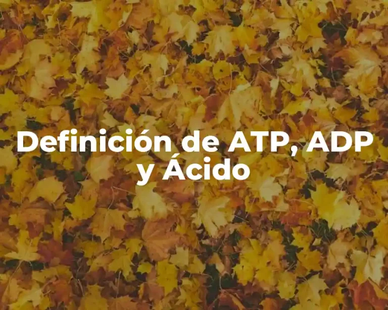 Definición de ATP, ADP y Ácido