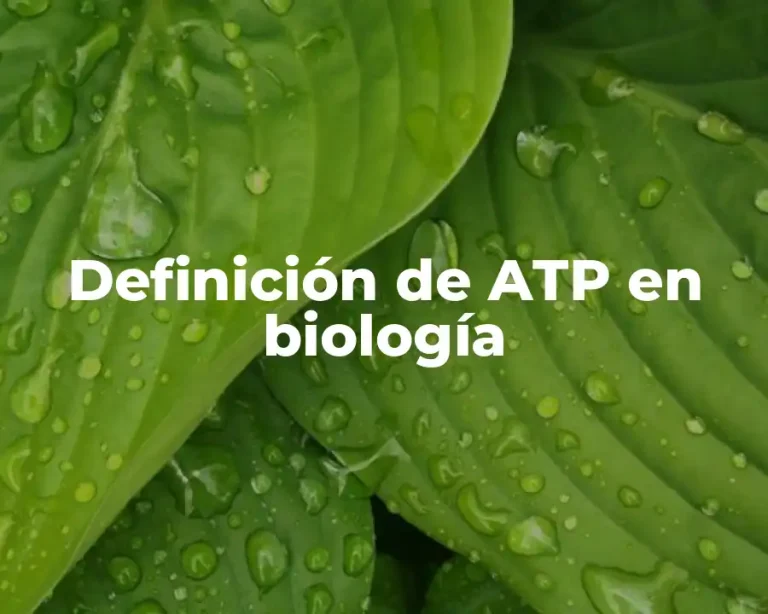 Definición de ATP en biología