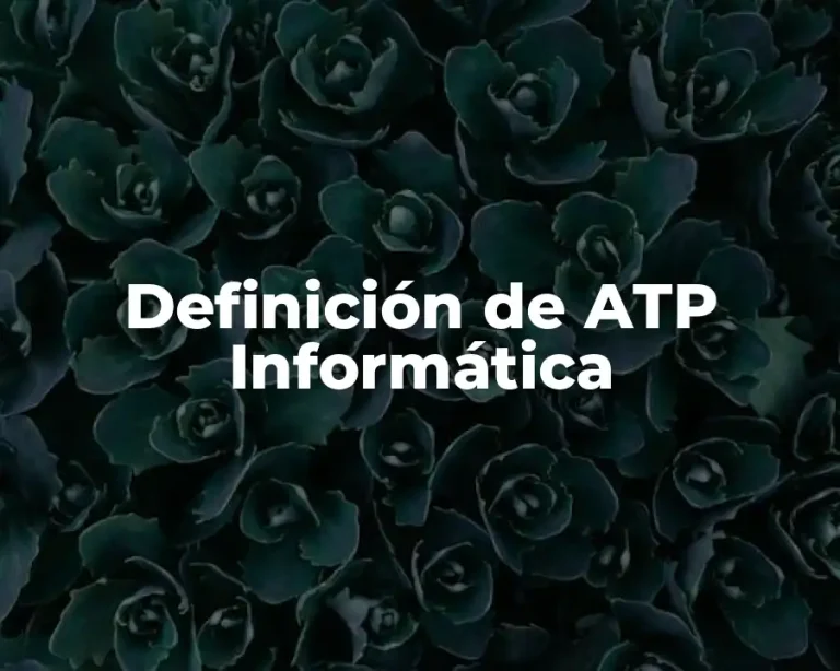 Definición de ATP Informática