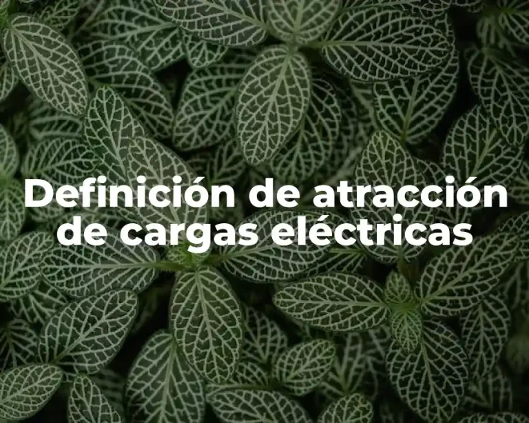 Definición de atracción de cargas eléctricas