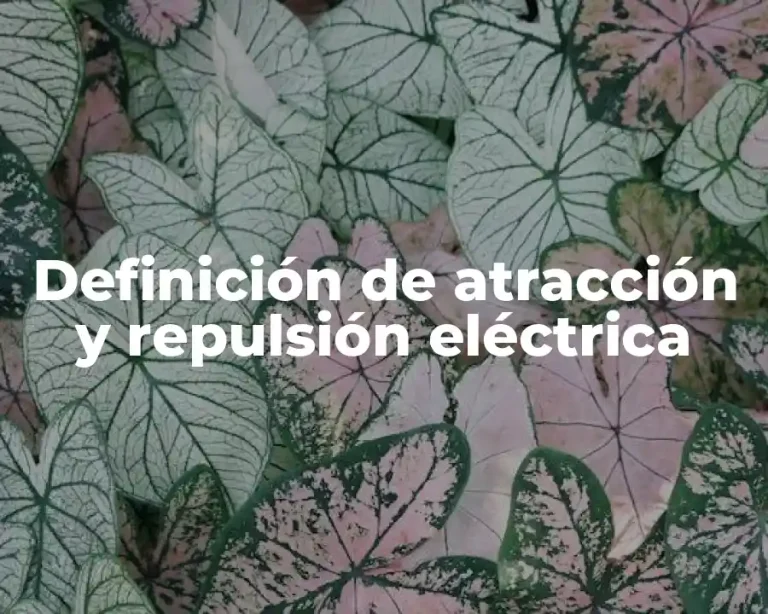 Definición de atracción y repulsión eléctrica