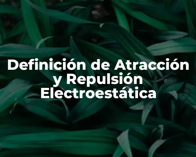 Definición de Atracción y Repulsión Electroestática