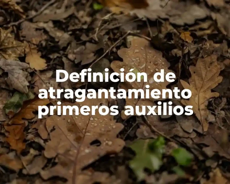 Definición de atragantamiento primeros auxilios